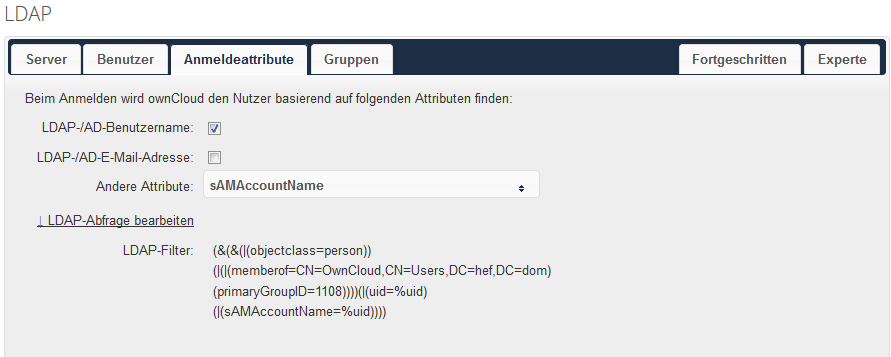 Einrichtungstab Anmeldeattribute